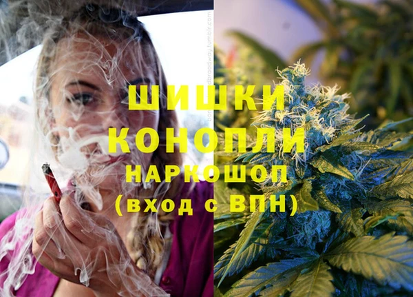 крисы Дмитровск