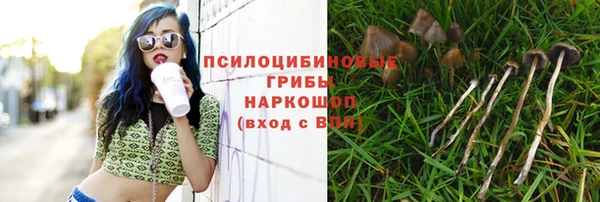 крисы Дмитровск