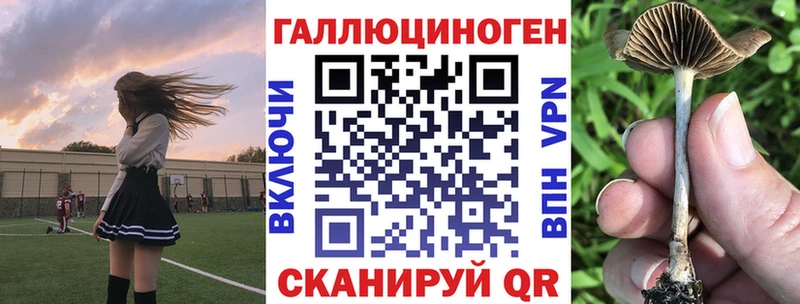 Купить закладки  Вельск  Галлюциногенные грибы мухоморы 
